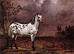 Paulus Potter - The Spotted Horse - WGA18217.jpg