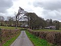 wikimedia_commons=File:Pengwern-uchaf, Cenarth - geograph.org.uk - 747708.jpg