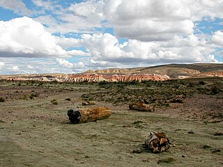 <span class="mw-page-title-main">Sarmiento, Chubut</span> Town in Chubut, Argentina