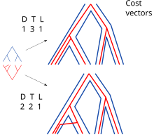 Different cost assignments can give different most parsimonious solutions. Phylogenetic reconciliation events costs.svg