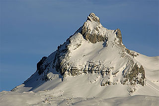 <span class="mw-page-title-main">Graustock</span> Mountain in Switzerland