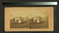 Picturesque Patterson Park. Baltimore, Md (NYPL b11707490-G90F213 003F).tiff