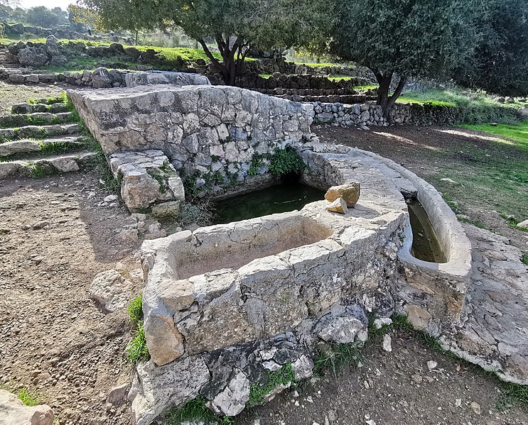 File:PikiWiki Israel 74975 in the ein hod compound.jpg