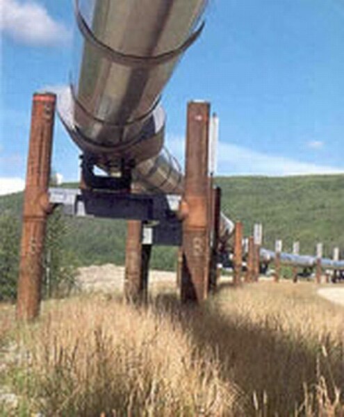 An elevated section of the Alaska Pipeline