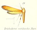 16:29, 24 azaroa 2014 bertsioaren iruditxoa