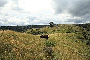 Plateau du Coyan