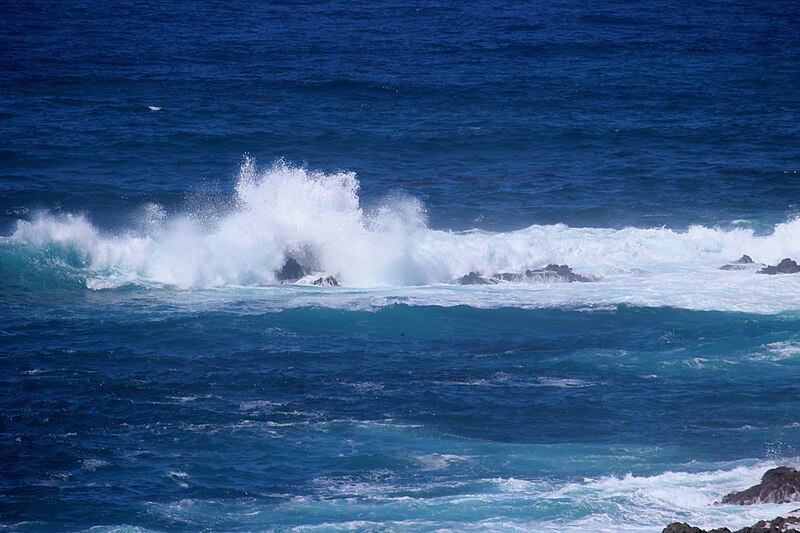 File:Point Lobos 36.JPG