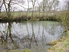 Pond at Kelsick - geograph.org.uk - 139602.jpg