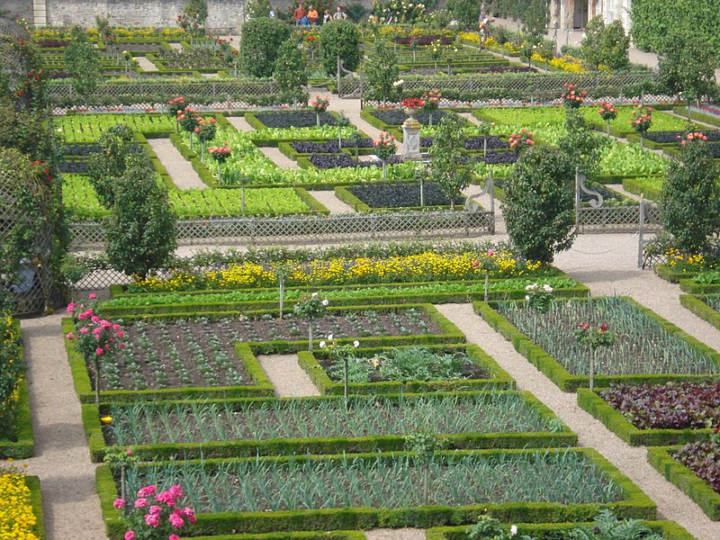 File:Potager d'ete du chateau de Villandry.jpg