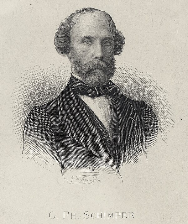 Portrait of Wilhelm Philipp Schimper who coined the term "Paleocene"