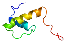 Protein EMD