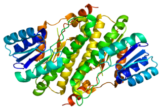 <span class="mw-page-title-main">HSD17B11</span> Protein-coding gene in the species Homo sapiens