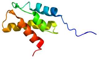 <span class="mw-page-title-main">PSMC5</span> Enzyme found in humans