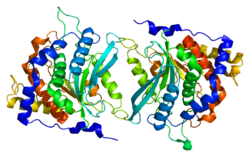 Protein QPCT PDB 2afm.png