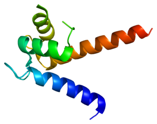 S100P protein-coding gene in the species Homo sapiens