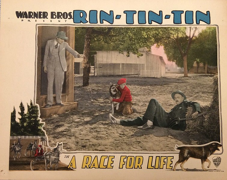 File:Race for Life lobby card.jpg