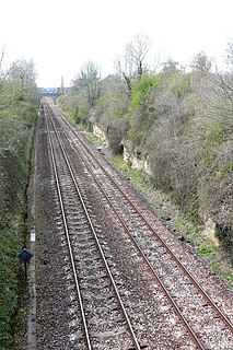 Bradford Abbas Railway Cutting