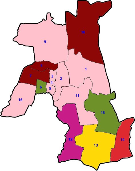 File:Rajbiraj 2022 Local Election Ward.svg