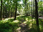 Rancocas State Park