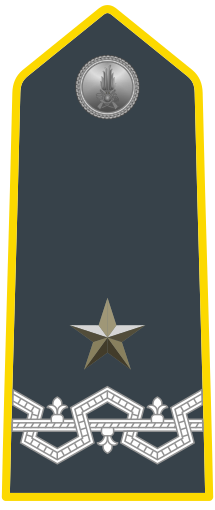 Rank insignia of colonnello comandante con incarico superiore of the Guardia di Finanza.svg