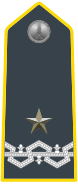 Rank insignia of colonnello comandante con incarico superiore of the Guardia di Finanza