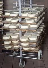 Farmhouse Reblochon, drying before ripening Reblochons fermiers au sechoir.jpg