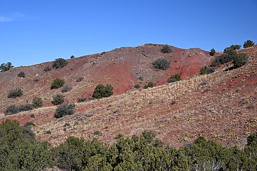 Red hills at Cibola National Forest