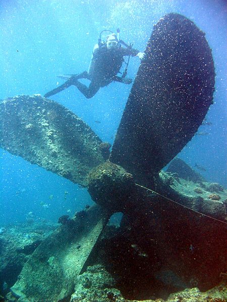 File:Reef3661 - Flickr - NOAA Photo Library.jpg