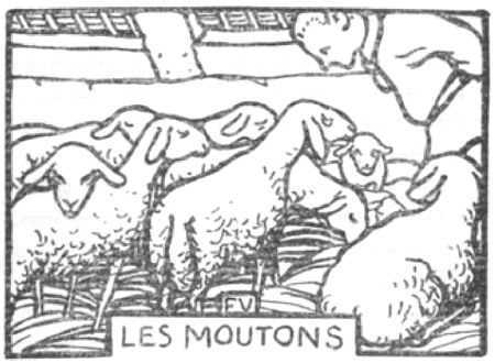 LES MOUTONS