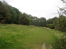 Ridgeway on Bacombe Hill - geograph.org.uk - 580111.jpg