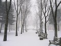 A view of the building on a snowy day from the adjacent Roger Williams National Memorial