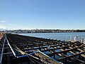 Repair works being carried out to Ryde Pier, Ryde, Isle of Wight. After it failed a routine maintenance inspection due to rusting beams it was closed to all vehicles, meaning Wightlink had to carry out extensive repair works.