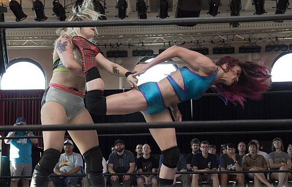 Ray delievers a superkick to Kimber Lee in SHIMMER 2016