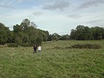 Large univallate hillfort on Cadbury Hill