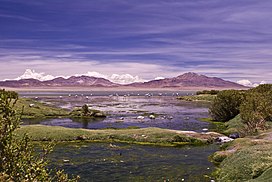 Salar de Tara by Carlos Urzua.jpg