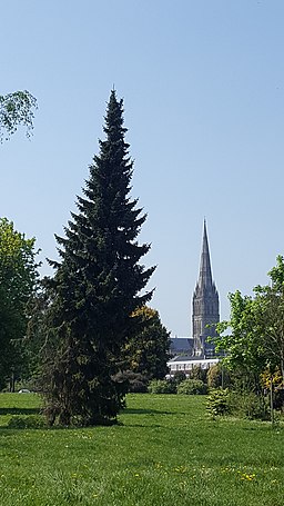 Salisbury Cathedral from Churchill Gardens