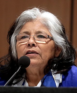 <span class="mw-page-title-main">Sally Ann Gonzales</span> American politician