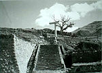 Sanno torii and camphor trees.jpg