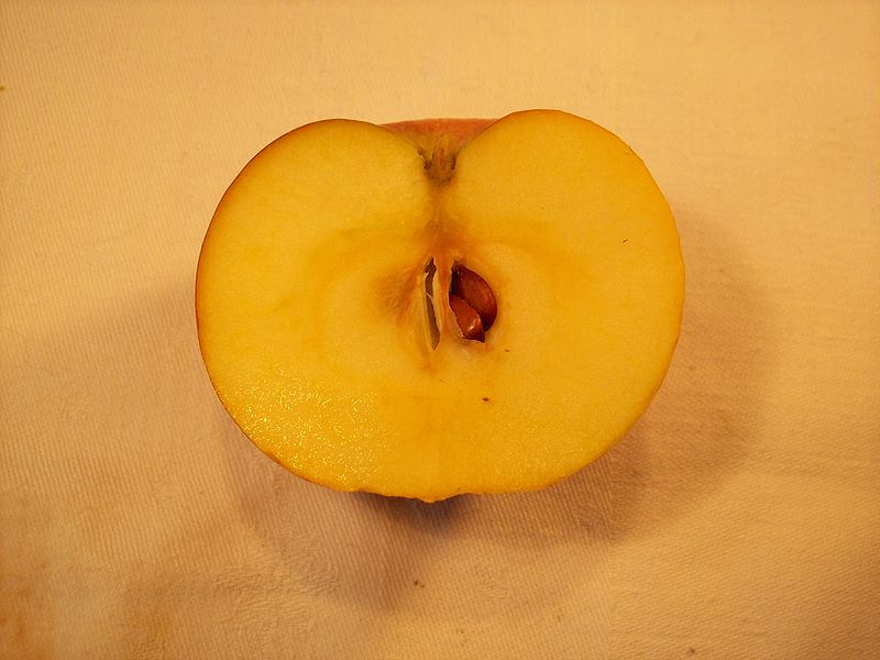 File:Schweizer Orangenapfel geschnitten.jpg