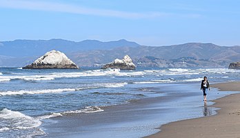 Vista das Seal Rocks no extremo norte de Ocean Beach, São Francisco, Califórnia, Estados Unidos. As Seal Rocks é um grupo de pequenas ilhas de formação rochosa na área de Lands End, no oeste de San Francisco. Elas estão localizadas na costa do Oceano Pacífico. O nome deriva da população de leões-marinhos-de-steller (Eumetopias jubatus) e leões-marinhos-da-califórnia (Zalophus californianus), que se lançam sobre as rochas. Ambas as espécies são frequentemente chamadas coloquialmente de “focas”. As formações e a vida selvagem são protegidas dentro da Golden Gate National Recreation Area. (definição 5 164 × 2 970)