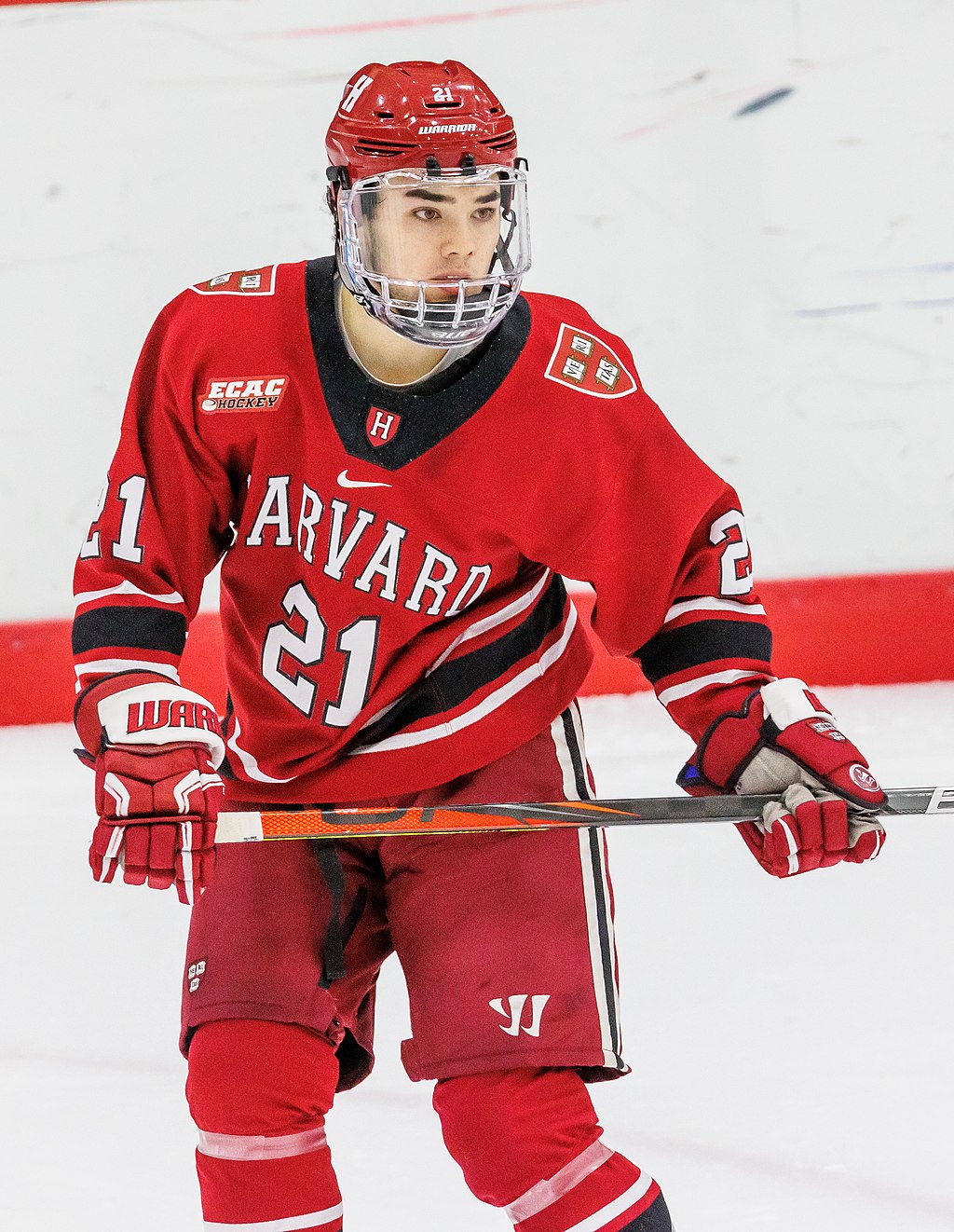 Shayne Gostisbehere - 2013-14 - Men's Ice Hockey - Union College