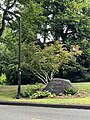 Washington Park Arboretum