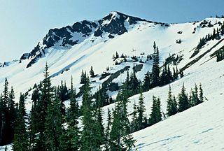 <span class="mw-page-title-main">Sentinel Peak (Jefferson County, Washington)</span> Mountain in Washington (state), United States