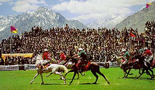 <span class="mw-page-title-main">Shandur Polo Festival</span> Annual sports festival held in Pakistan