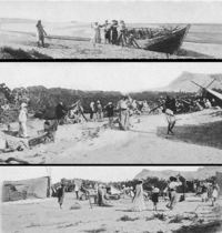 Shipwreck off Guardafui in 1905