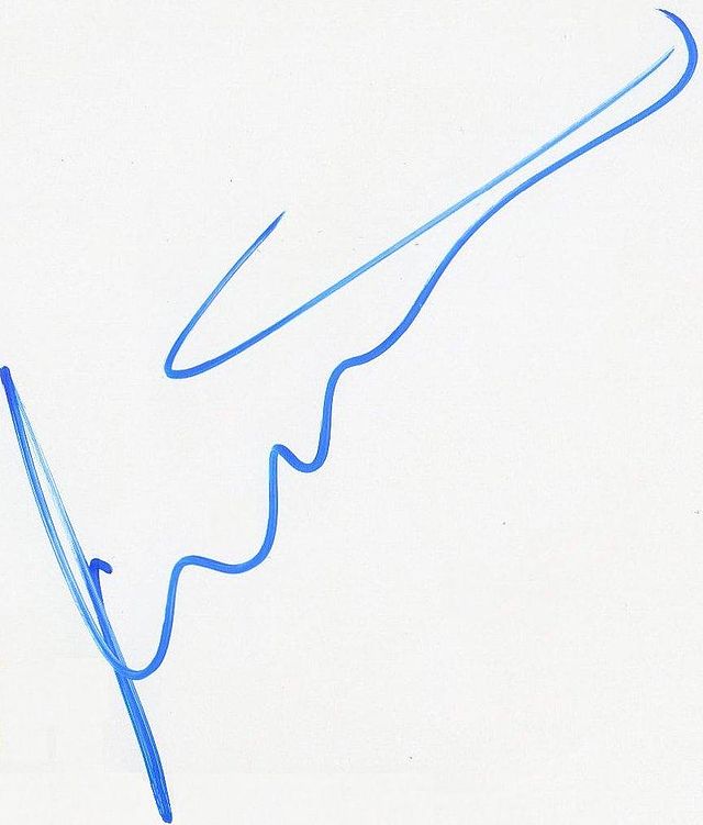 Signature de Timo Scheider avec une encre bleue.