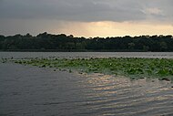 Lake Snagov, Ilfov County