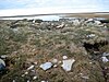 Sod House.jpg