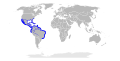 Range of the Bonnethead Shark (Sphyrna tiburo)