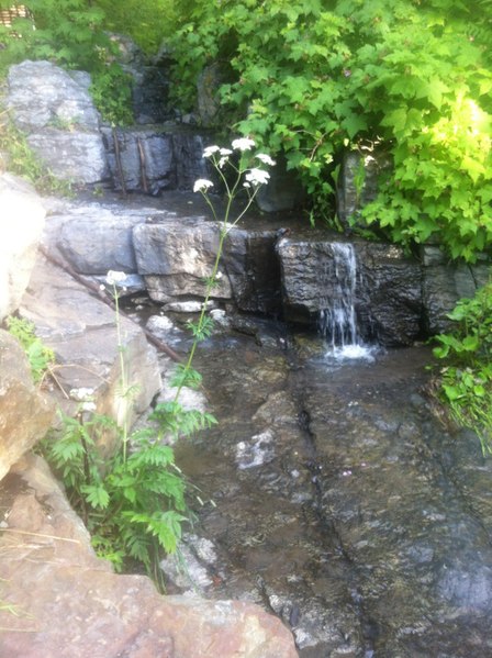 File:Spring water in the mountains.jpg